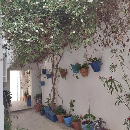 Estudio Recien Reformado En Patio Andaluz Apartment Conil De La Frontera